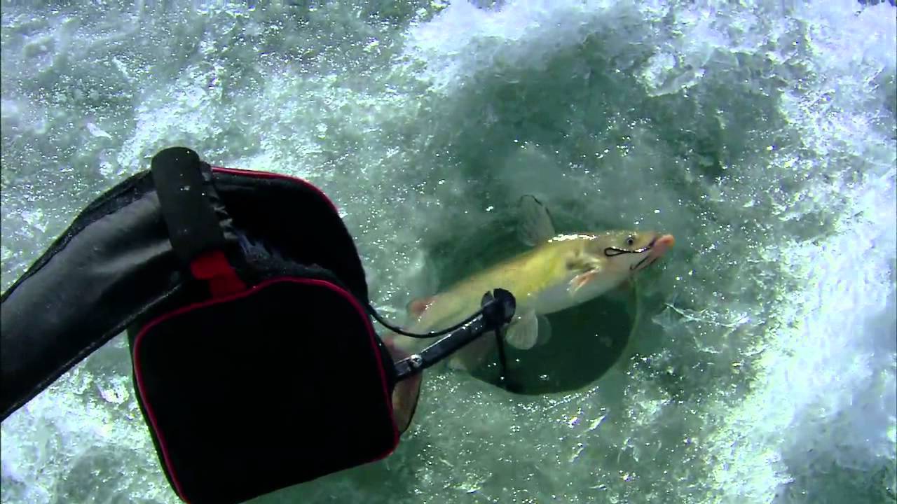 Ice fishing for catfish Clearance