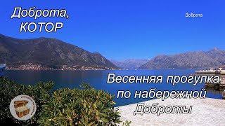 Доброта, Котор Черногория 2021 (Dobrota Kotor)