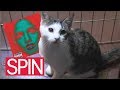 M.I.A. "Matangi" + Kittens (The Spin Review)