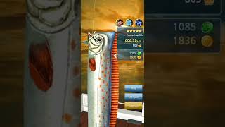 boss fishinghook laut bering||bering sea