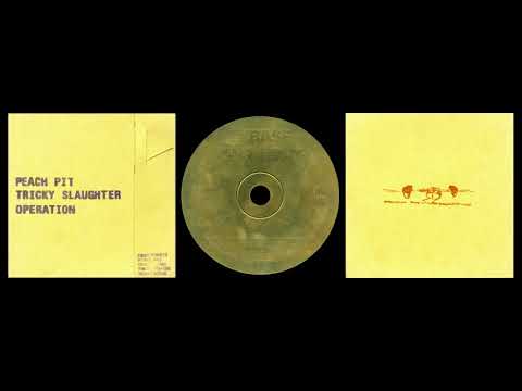 PEACH PIT 'Tricky