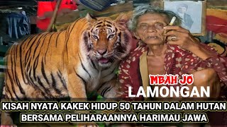 kisah Nyata Kakek Hidup 50 Tahun Dalam Hutan Bertemu Harimau Jawa peliharannya
