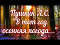 Пушкин А.С. В тот год осенняя погода… (отрывок из &quot;Евгения Онегина&quot;). Учим стихи вместе