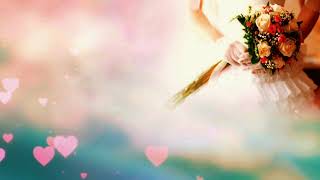 Wedding Bride Footage | Free to Use No Copyright Video | Copyright Free Videos | Free Stock Videos