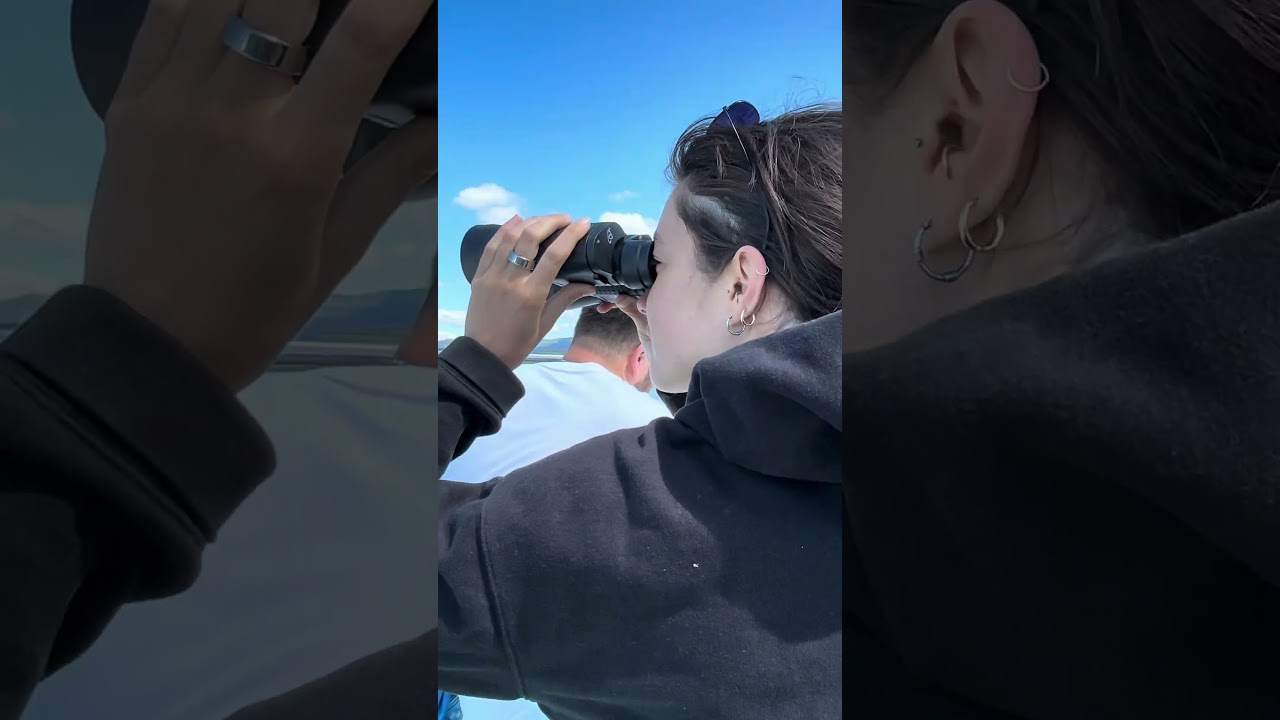 If youre in Split Croatia you cant miss out on this boat tour