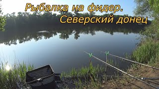 Рыбалка на фидер Северский донец. Как ловить карася на окатыши и опарыша.