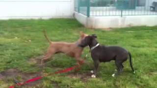 West La - Melanie A1419583 & Henry A1425171