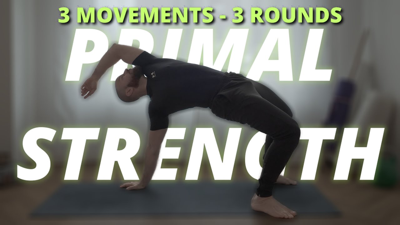 Full Body Primal Mobility Workout | Circuit Training | Follow Along | No Equipment