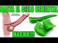 Grandir Comme Un Fou « Ce Qui Fait L'aloe Vera ...... Dans Votre Membre...