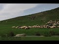    بهنام مندا روژبون