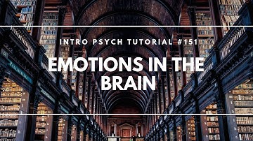 Emotions in the Brain (Intro Psych Tutorial #151)