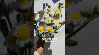 Crochet a daisy flower #crochet #crochetbouquet #daisy #crochetdaisy #crochetflowerbouquet y