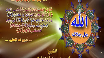 محمد صديق المنشاوي - سورة الفيل - تلاوة خاشعة - مونتاج محبي الشيخ محمد صديق المنشاوي
