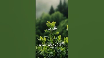 قال رب إني ظلمت نفسي|المنشاوي|سورة القصص#المنشاوي #القرآن_الكريم #قرآن #سورة_القصص #تلاوات #القرآن