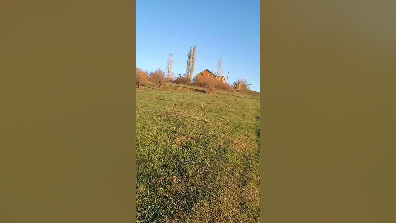 гора🤤#тесла - YouTube