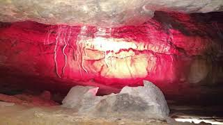 Celebrity RUBY FALLS 2019 Profile