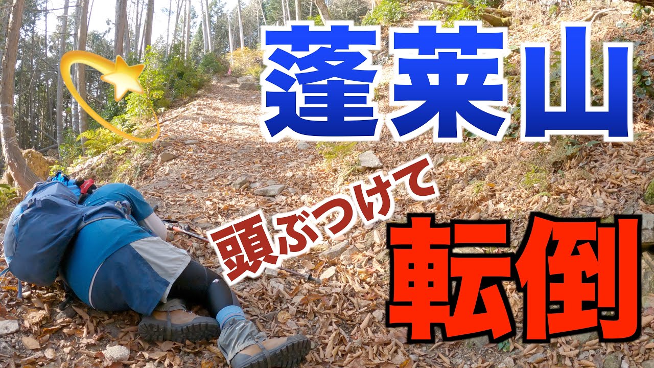 【滋賀県】蓬莱山 キタダカ道で琵琶湖の絶景を目指してたら途中の倒木に…💦上も見て歩かないとこうなります😭