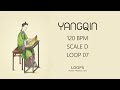 FREE Yangqin Loops (Royalty Free) | Traditional Chinese Instrument for Music Producers | D | 07
