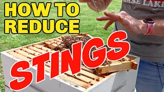 Beekeeping How To Reduce Your Chances Of Being Stung