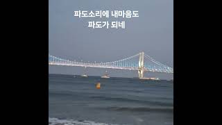 파도소리에 내 마음도 파도가 되네