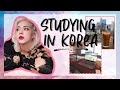 How I Applied for my Korean Language Course in Seoul