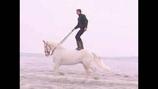 Un cheval aveugle, en confiance avec son cavalier cascadeur (2005)