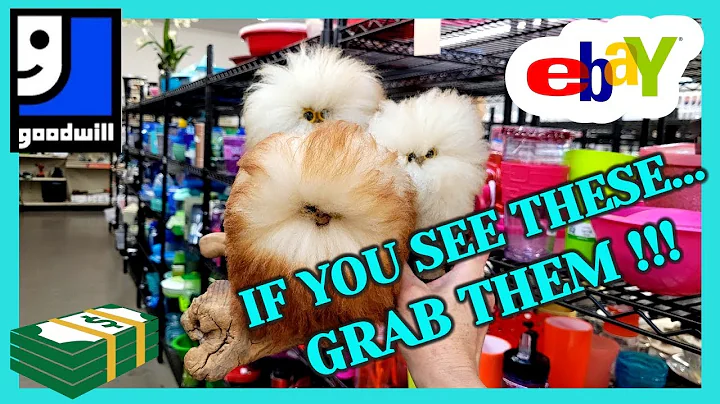 I FOUND 3 HIDING ON THE BOTTOM SHELF AT GOODWILL! / Thrift With Me / BUY MY HAUL / Dogs in the SNOW