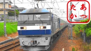 【高速貨物列車通過集 魚住編】EF210 桃太郎