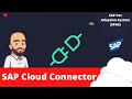 Proyecto SPAS - Configuración SAP Cloud Connector