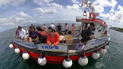 Fishing @ Penzance Harbour - Insta360 One R