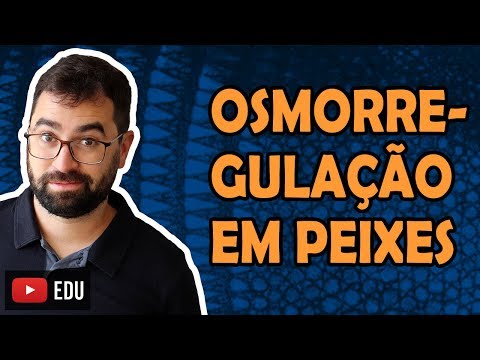 Vídeo: Diferença Entre Processador E Microprocessador