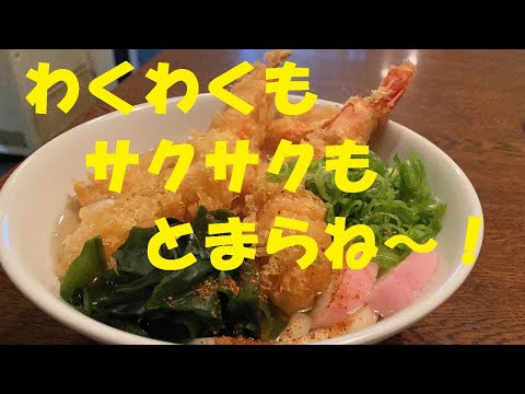 うどん屋さんの【海老天ぷらうどん】作り方★サクサクが止まらない