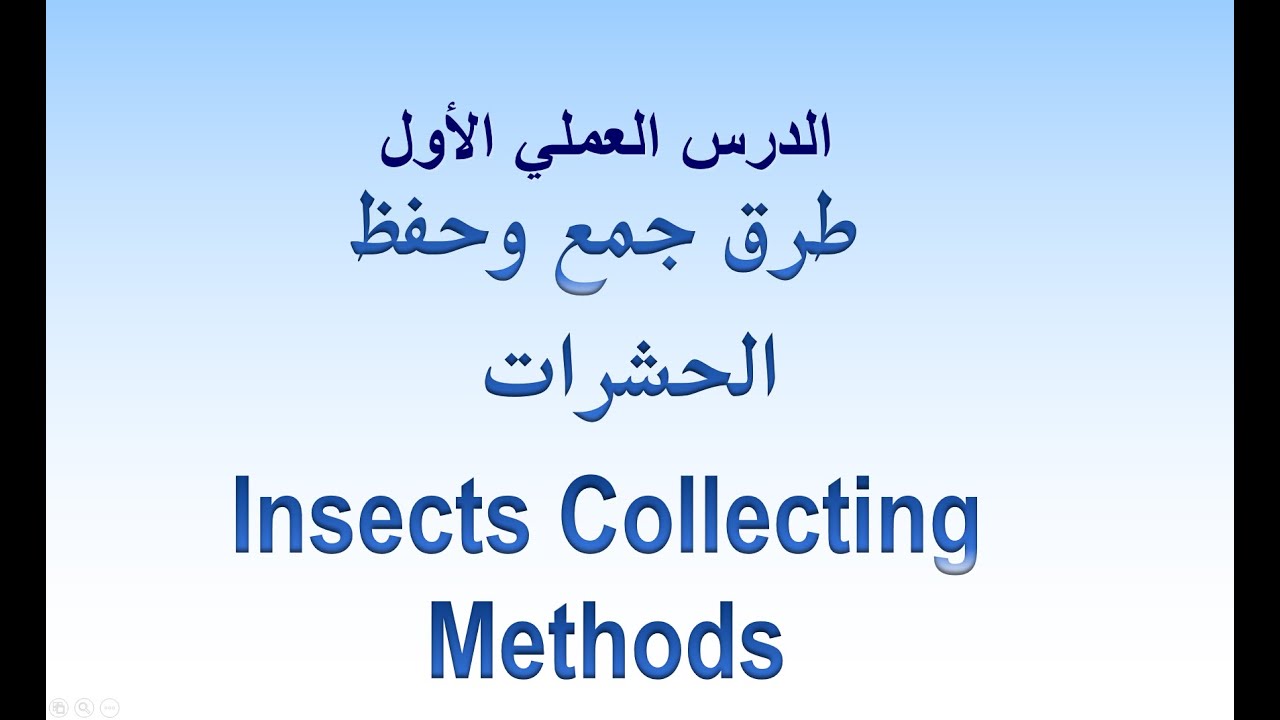 الفرقة الثالثة -الدرس العملي الاول -مقرر الحشرات الاقتصادية