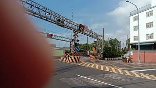 20190907@新北市樹林區俊英街平交道166(ft:蔡俊翊)