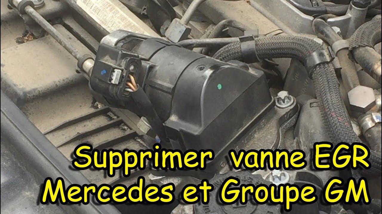 Entretenir sa Vanne EGR - La solution Decalaminage78 !