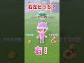 【あつ森】『右左どっち？』ベルをたくさんゲットした結果ｗｗｗｗｗｗｗｗ【 あつまれどうぶつの森 】