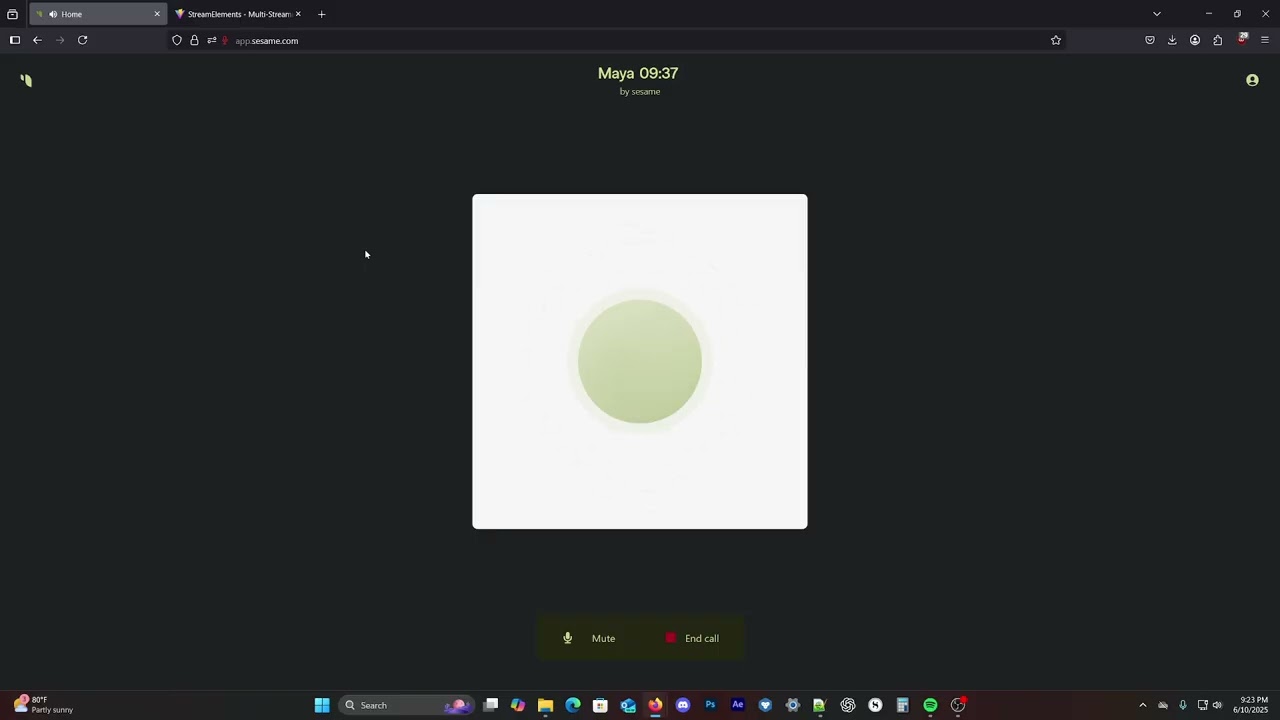Conversation with Maya the Sesame AI - An AI