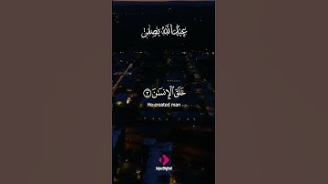 لحظة صفاء مع تلاوة خاشعة تريح النفس 💫🕊️ #تلاوة_مؤثرة #راحة_بال