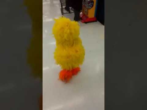 tweety bird baby costume