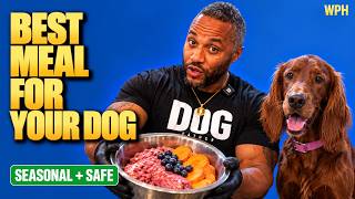 Best Diet for Dogs With Different Needs and Allergies