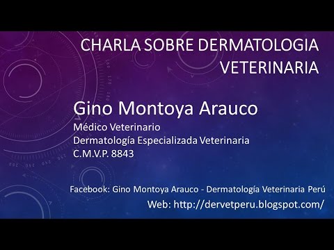 CHARLA SOBRE PROBLEMAS DE PIEL EN SHAR PEIS