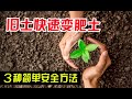 如何把舊土變成有機肥土？手把手教妳3種簡單安全的土壤消毒方法，不用農藥 | 花園石灰的用法 How to turn old soil into nutrient soil? Garden lime