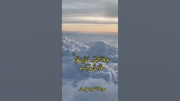 آيات من القرآن الكريم | سورة الأنعام | الآية ٢٩ - ٣٠ | علي جابر  #قرآن_كريم #سورة_الأنعام #علي_جابر