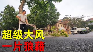 河南郑州刮大风大树都吹倒了街道一片狼藉【穷游的似水年华】