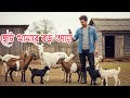 ছোট খামারে বড় আয় | শুধু খামার নয়, ক্যামেরা ধরুন | Farmer to YouTuber Success Story