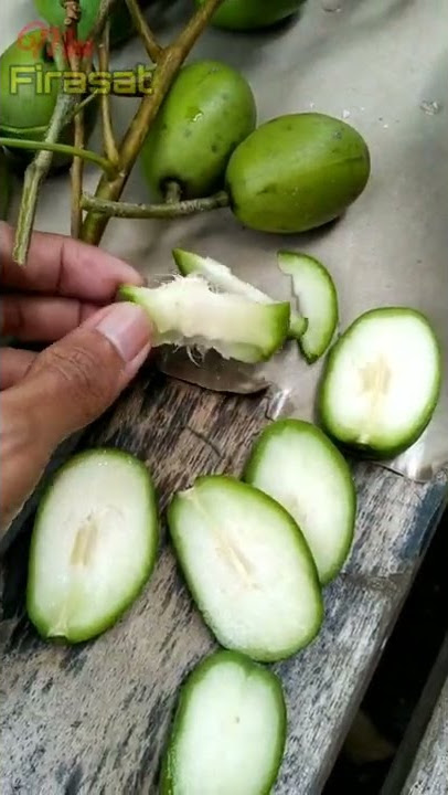 RUJAK kedondong mini jangan sampai tua #shorts #masfirasat
