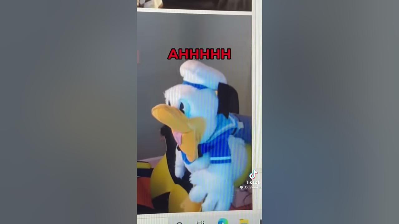 I Meet Donald Duck On Omegle 😬 - YouTube