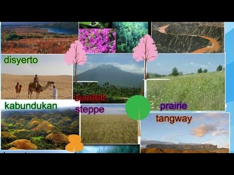 Video: Batang Lungsod Para Sa Batang Agham