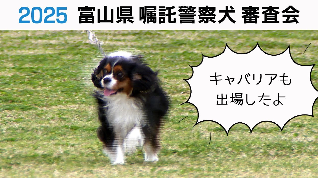 2025年度 嘱託警察犬の審査会