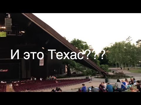 Video: 300 Juta Rama-rama Turun Ke Texas